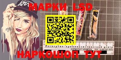 прущие грибы Кандалакша