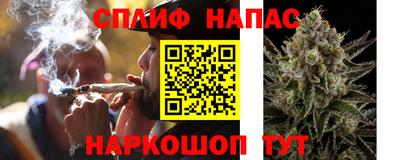прущие грибы Кандалакша