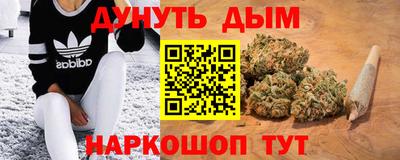 гидра Камышлов