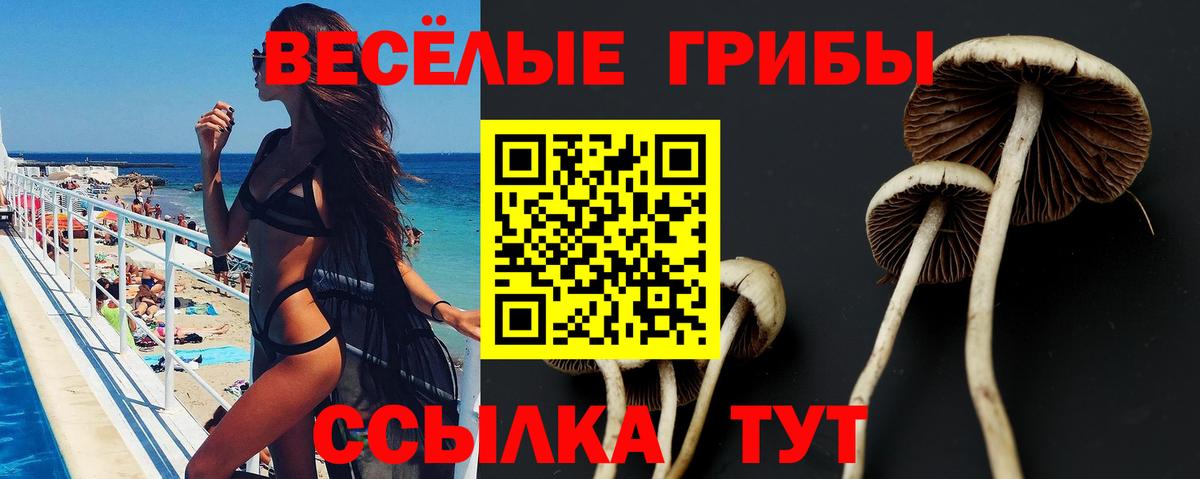 Псилоцибиновые грибы Cubensis  даркнет сайт  Прохладный  Галлюциногенные грибы MAGIC MUSHROOMS  Вход с VPN 